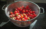 Endurance Precision Pierced Colander