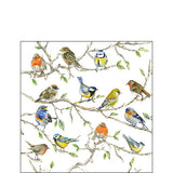 Elegant Gifts Paper Napkins Cocktail Size