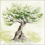 Elegant Gifts Paper Napkins Lunch Size