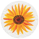 Danica Autumn Bounty Compostable Sponges