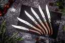 Style De Vie Laguiole Luxury Line Steak Knives Mixed Woods