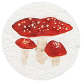 Danica Autumn Bounty Compostable Sponges