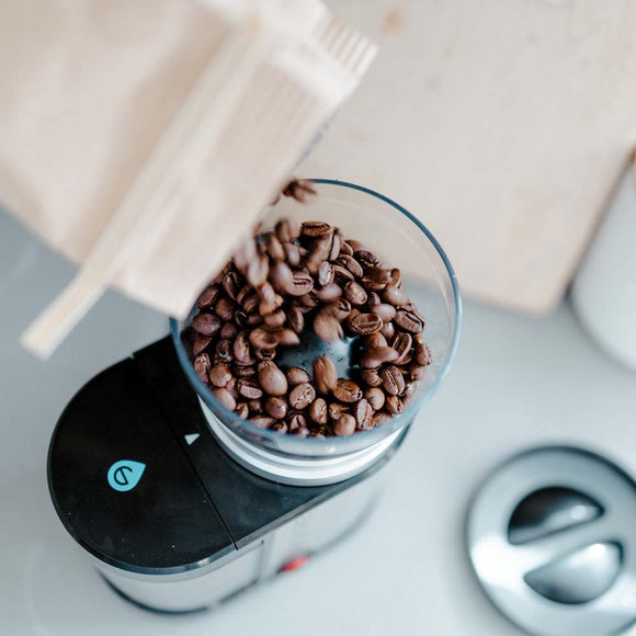 BREMEN BURR Electric Burr Coffee and Spice Grinder