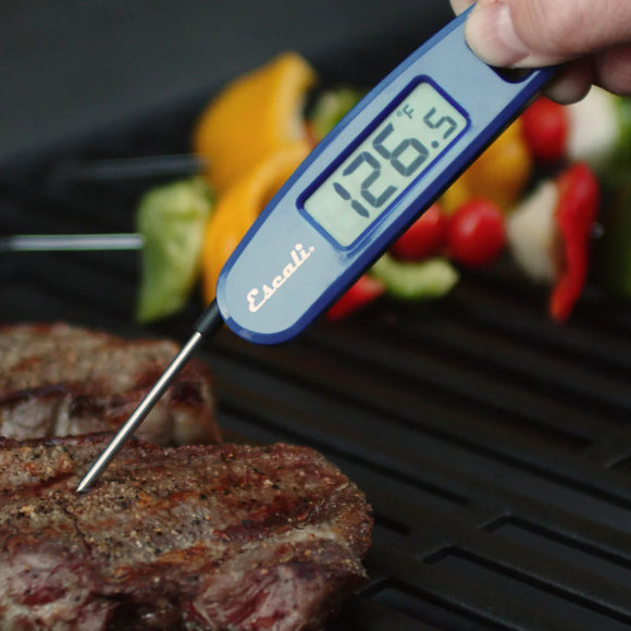 Compact Folding Digital Thermometer